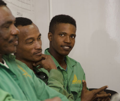 Trabajadores del proyecto Morros Eco de la comunidad de Manzanillo del Mar.