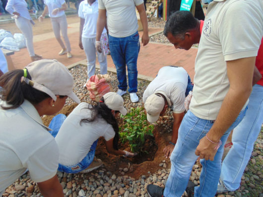 2da jornada de limpieza LimpiArte en Tierra Baja